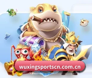 五星体育的故事